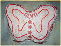 En fjärilstårta tillägnad Alva på hennes 2-årsdag